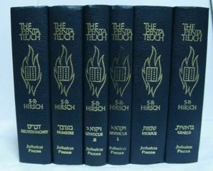 6 V Set Tora Pentateuch Samson Raphael Hirsch englische Bibel Chumash Kommentar  - Bild 1 von 11