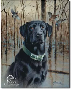 Enten Unlimited Metall Blechschild Great Retriever Jagd Zuhause Wanddeko #1203 - Bild 1 von 1