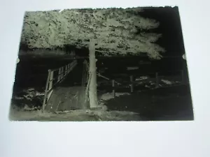 EIN (1) GLASNEGATIV, MAINE, GANGWAY BIS ZUM DOCK, RUDERBOOTE, BOOTHBAY HAFEN? - Bild 1 von 1