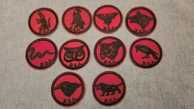 Lot of 10 Vintage and Rare Mint Black and Red Boy Scout Patrol Medallions - Image 1 of 2