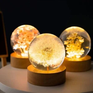 Flower Crystal Night Light Preserved Flower LED Light Dandelion Glass Ball Lamp - Picture 1 of 11