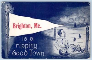 BANDERÍN BRIGHTON MAINE 1910 POSTAL ARTISTA COBB SHINN ALAMBRE DE PÚAS POSTAL - Imagen 1 de 2