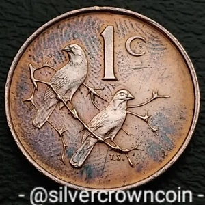 South Africa 1 Cent 1966. KM#65.2. One Penny coin. Sparrows. Birds. SUID AFRICA - Picture 1 of 7