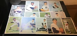 Lot of 12 Tiger Autographed 8X10 Color Tiger Prints KALINE BROWN MCCLAIN HOF - Picture 1 of 10