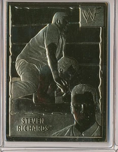 DANBURY MINT 22KT GOLD WWF WORLD WRESTLING FEDERATION STEVEN RICHARDS #64 - Picture 1 of 1