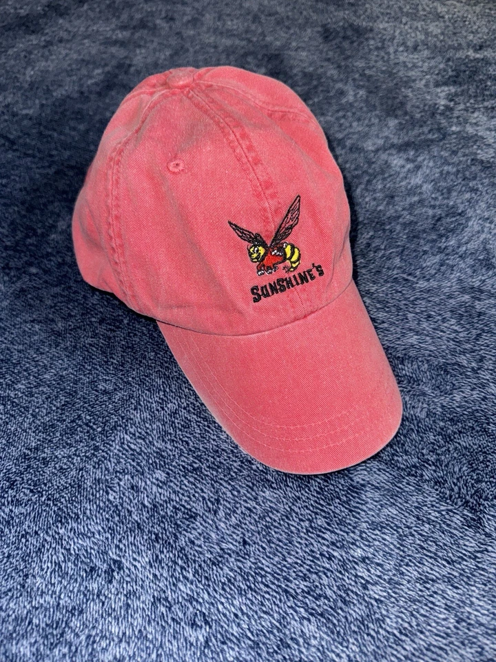 Sombrero Sunshine Para Hombre Rosa Abeja Empire State Ajustable Adams Slideback Foto 1 de 4