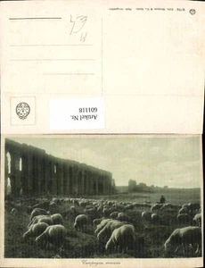 601118,Hirte Schäfer Schafe Campagna romana Viadukt Ruine Italy - Picture 1 of 1