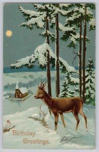 Postcard Birthday Greetings Deer Full Moon, Church,  Winter Woods Snow Landscape - Picture 1 of 3