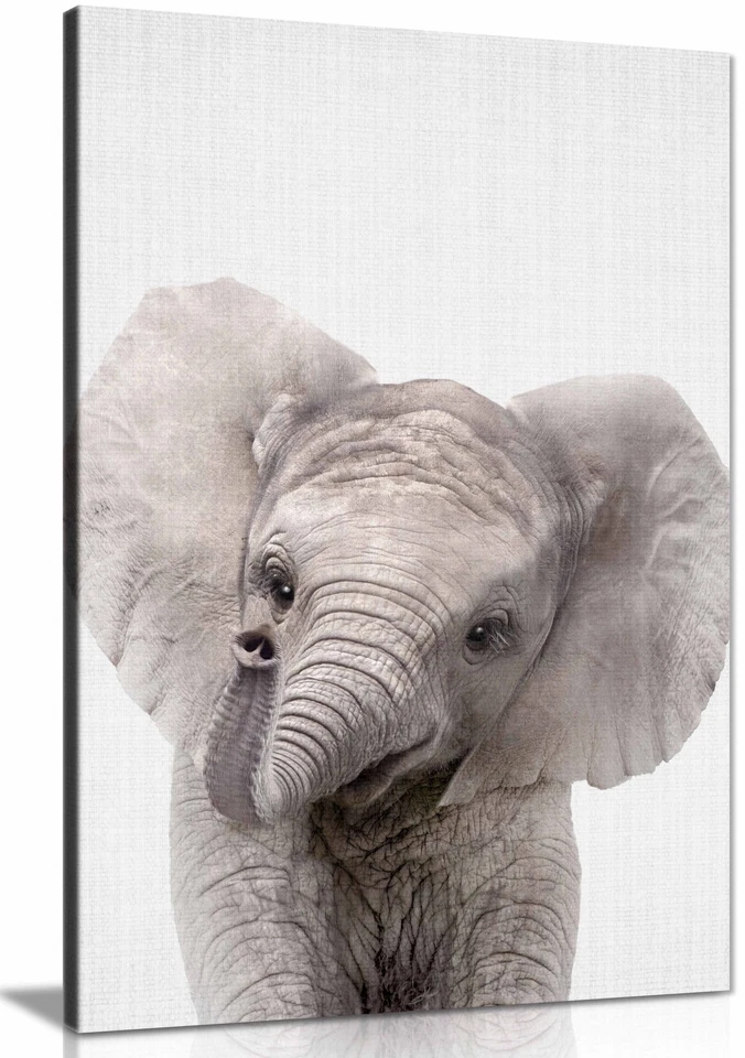 Peekaboo Baby Elephant Framed Canvas Print, Pictures for Home Walls Decor - Image 1 of 1