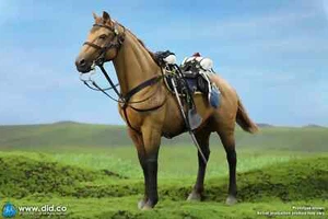 Dragon In Dreams DID U.S. Civil War Brown War Horse Standing E60076 im Maßstab 1:6 - Bild 1 von 9
