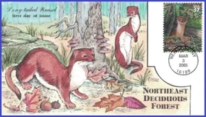 USA1 #3899f U/A COLLINS HAND PAINTED FDC Long-tailed weasel Deciduous Forest - Picture 1 of 1