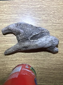 out of wate. Driftwood Art, Driftwood Reclaimed , Weathered Wood, - Picture 1 of 11