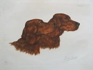 Jean Renard - signierte Auflage - Irish Setters Dogs - Paris Etching Society - Bild 1 von 7