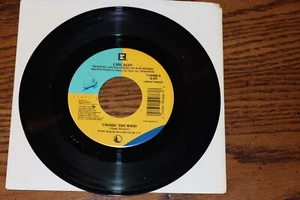 CHICAGO VINYL 45 CHASIN THE WIND B/W ONLY TIME CAN HEAL THE WOUNDED UNPLAYED - Picture 1 of 2