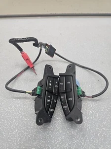 🔥02-05 INTERRUPTOR DE CONTROL DE CRUCERO FORD EXPEDITION 2003-2006 EXPLORER MOUNTAINEER - Imagen 1 de 8