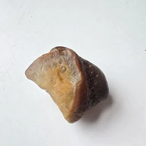 Lake Superior Agate Rough Lapidary Gemstone Boat 2.13oz - Picture 1 of 9
