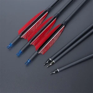 12X Archery 30" Carbon Arrows Feathers for Compound Recurve Bow Hunting Target - Picture 1 of 24