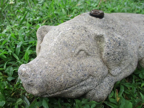 ADORABLE & UNIQUE WEATHERED VINTAGE CEMENT/CONCRETE PIG/HOG GARDEN SPRINKLER Cover