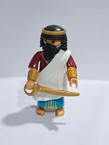 PLAYMOBIL SOLDADO PERSA CON TOGA - 30/10/23 - Imagen 1 de 1
