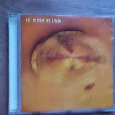 Icehouse - Big Wheel - Bild 1 von 2