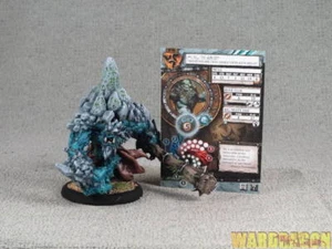 50mm Hordes WDS painted Trollbloods Mulg the Ancient r15 - Picture 1 of 5