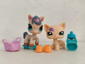 2pcs/lot Littlest Pet Shop toys LPS Yellow Cat Horse #1962 W/5pcs Accessories - Picture 1 of 6