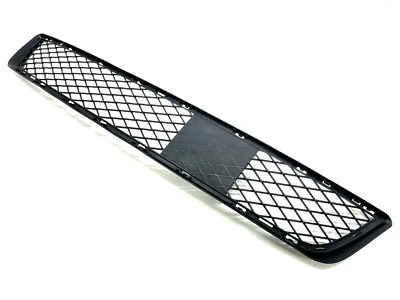 BMW X5 E70 2007-2010 parrilla central inferior delantera OEM 7222855 Foto 1 de 4