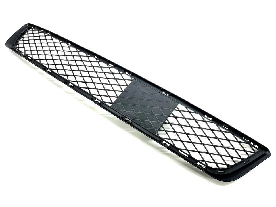 BMW X5 E70 2007-2010 parrilla central inferior delantera OEM 7222855 Foto 1 de 4