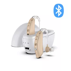 1 pair of noise-canceling Bluetooth invisible hearing aids with charging dock - Picture 1 of 16