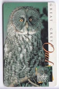 AFRIQUE TELECARTE / PHONECARD .. AFRIQUE DU SUD 15R OISEAU BIRD HIBOU CHIP/PUCE - Imagen 1 de 1