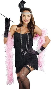 Dreamgirl Flirty Flapper Costume Dress 20s Great Gatsby Fancy Black Fringe Skirt - Picture 1 of 1