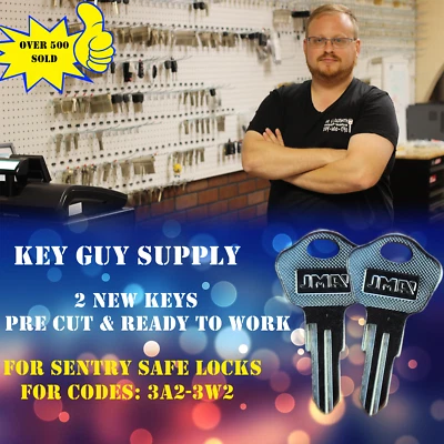 3A2-3Z2 2 New replacement keys for Sentry Safe model 1100, Key Cut To your Code.