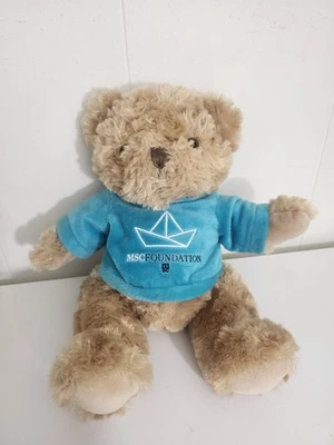 Baby Safe Haven Teddy Bear Plush Stuffed Animal MSc Foundation - Image 1 of 4