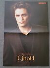 Twilight New Moon Edward (Robert Pattinson)/Twilight New Moon Volturi Poster