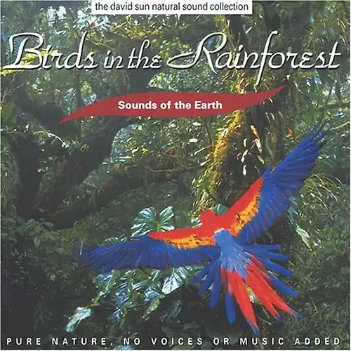 Various - Birds in the Rainforest - Bild 1 von 1