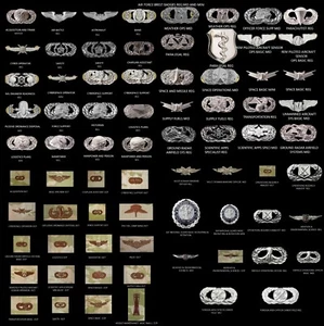 AIR FORCE OFFCIAL BASIC BREAST BADGES REGULAR MIDSIZE AND MINI VET OFFICIAL - Picture 1 of 75