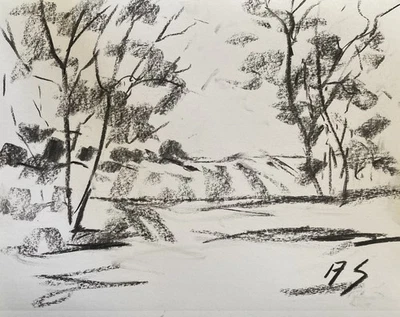 Nature’s Silence – Bosquejo de carbón fino sobre papel por Andrew Semberecki Foto 1 de 2