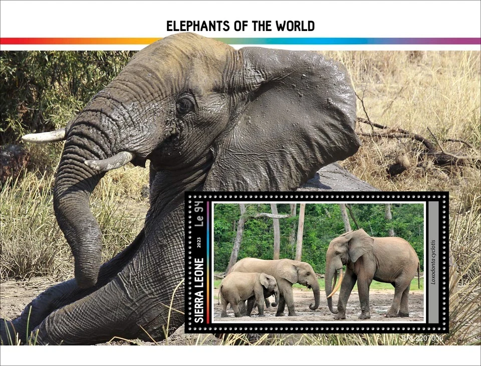 Elephants of the World MNH Stamps 2023 Sierra Leone S/S - Image 1 of 1