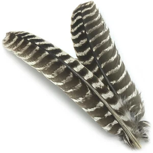 OZARK OAK MOTTLED TURKEY QUILLS - Hareline Barred Fly Tying Feathers 1 Pair NEW! - Picture 1 of 4