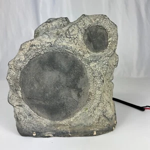 Niles RS5, High Performance Rock Loud Light Gray Speaker, 5-in. 2-way 10x9x8 - Picture 1 of 13