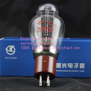 1PZ ShuGuang Amplificatore valvolare valvola vuoto classico nuovo tipo 300B -98 300B - Foto 1 di 4