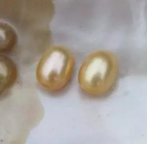 Brillo perfecto 12,4x9,7 mm naturaleza AAAA + oro del mar del sur medio perla suelto perforado - Imagen 1 de 4