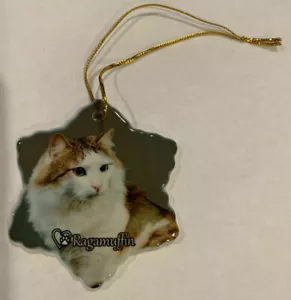 Ragamuffin Katze Porzellan Weihnachtsschmuck in Sternform Neu - Bild 1 von 1