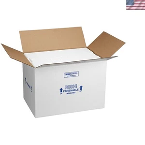 Large Foam Shipper - Thermo Chill Insulated Carton, 19x12x16 for Safe Transport - Picture 1 of 2