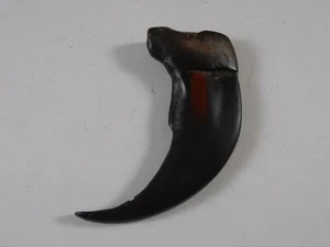 Large Reproduction Replica Bear Claw Crafting Jewelry Making 3” - Picture 1 of 6