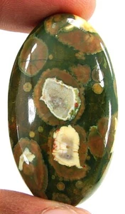 60.55 Ct Natural Rainforest Jasper Rhyolite Gemstone Cabochon Wire Wrap - 21621 - Picture 1 of 2