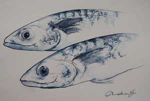 Original Hand Drawn Pen & ink Wash Drawing Sketch of Two Mackerel FIsh Heads - Picture 1 of 18