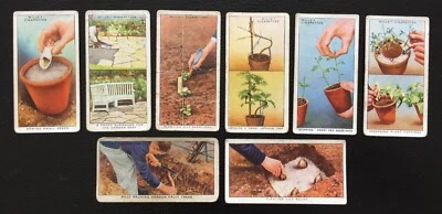 Small collection 8 Will's Cigarettes Cards 1938. Garden Hints - Image 1 of 2