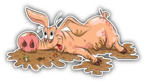 Funny Pig In The Mud Car Bumper Sticker Decal - Picture 1 of 1