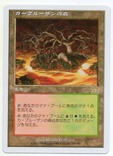 MTG Japanese Karplusan Forest 6th Edition NM